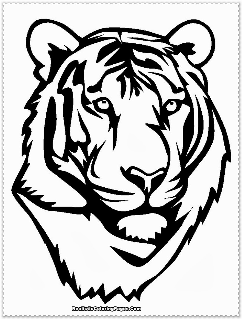 Tiger Coloring Pages Free Printable 107