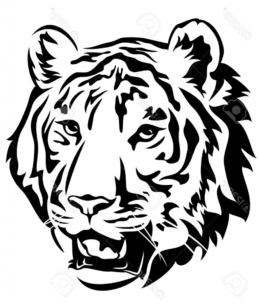 Tiger Coloring Pages Free Printable 109