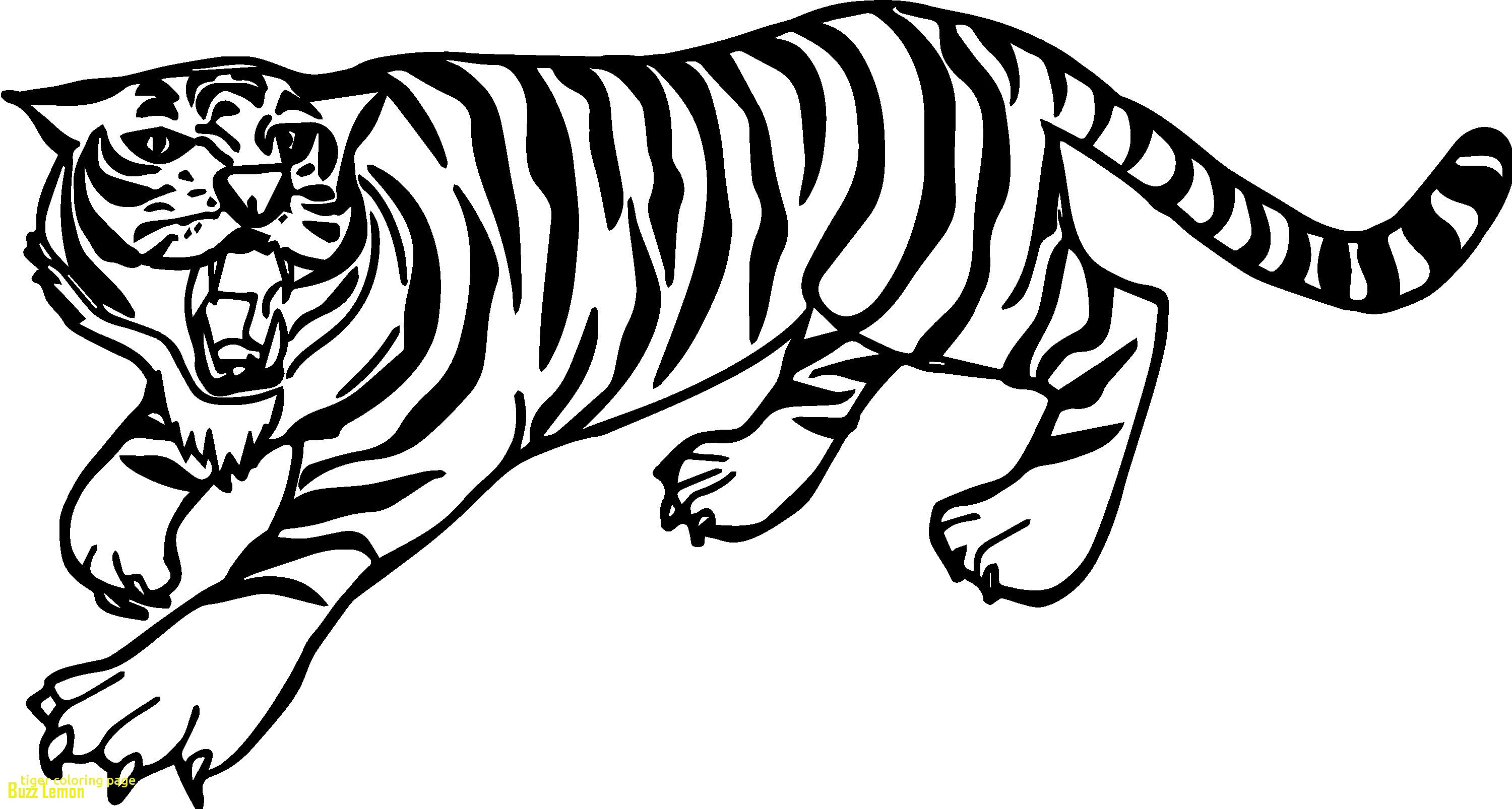 Tiger Coloring Pages Free Printable 11