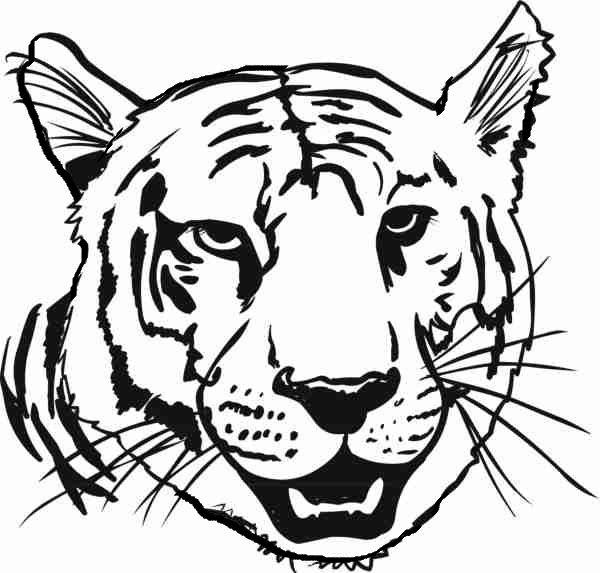 Tiger Coloring Pages Free Printable 114