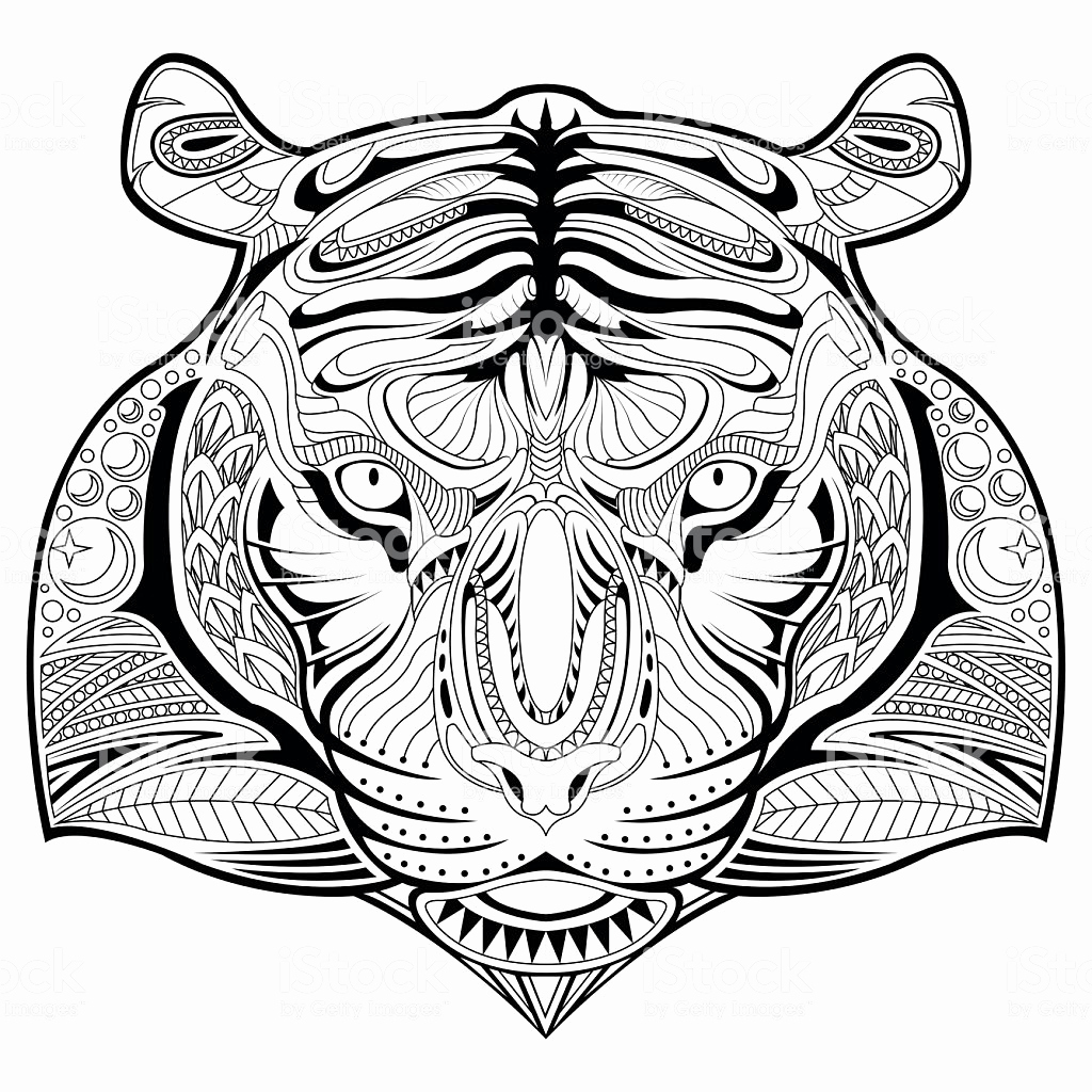 Tiger Coloring Pages Free Printable 117