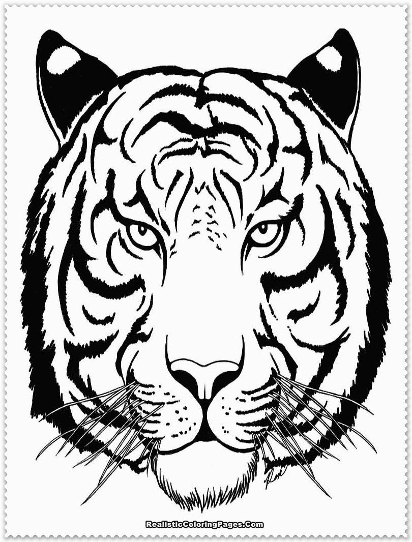 Tiger Coloring Pages Free Printable 12