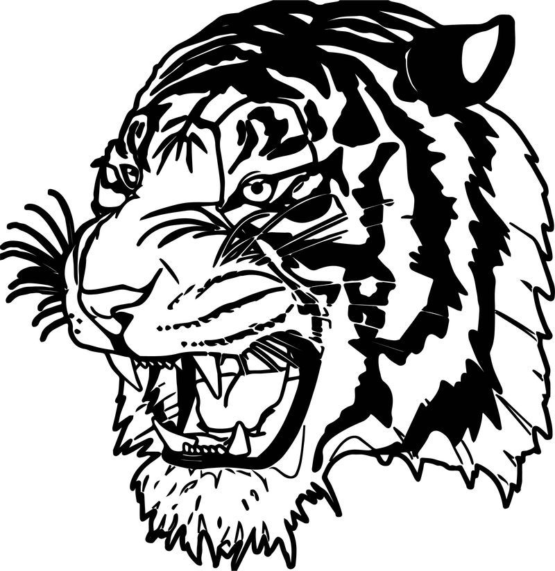 Tiger Coloring Pages Free Printable 124