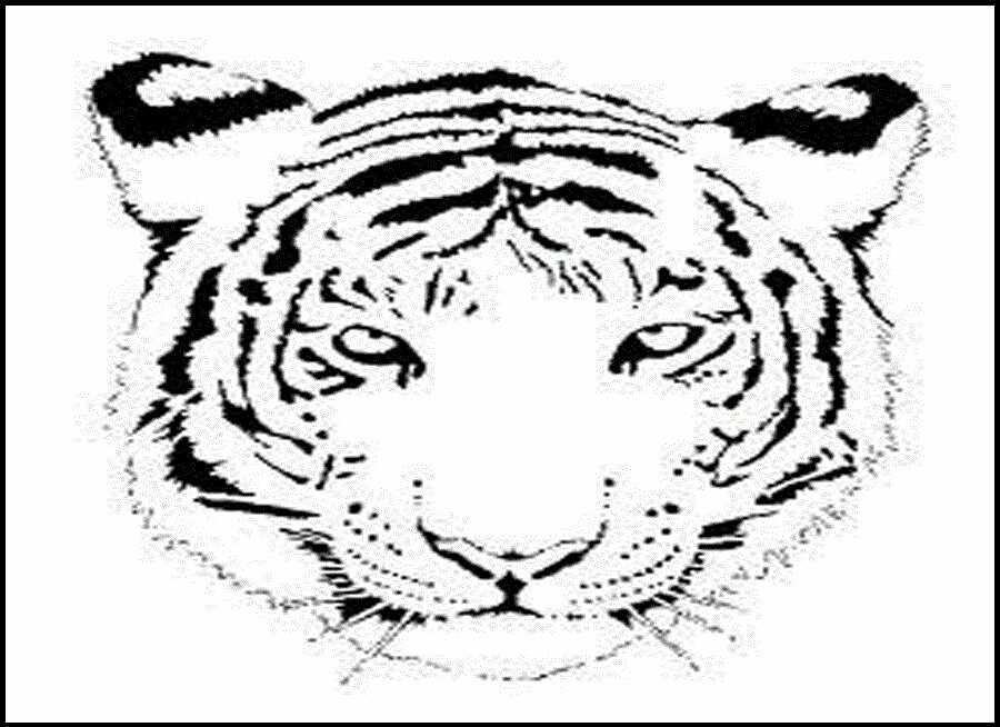 Tiger Coloring Pages Free Printable 129