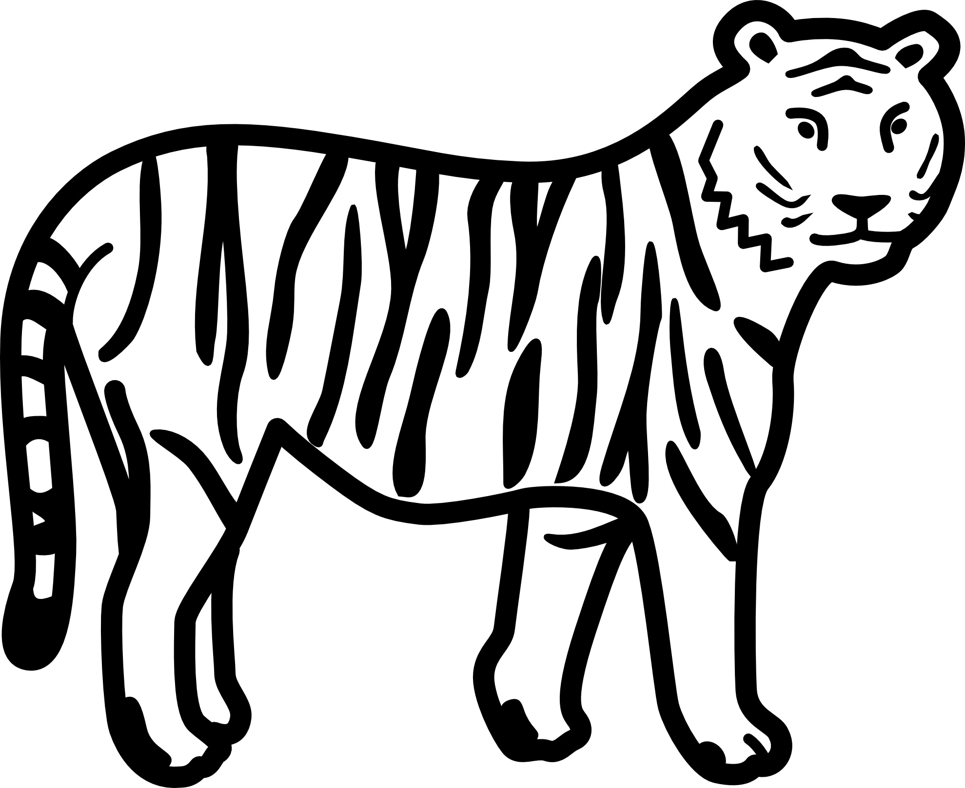 Tiger Coloring Pages Free Printable 13