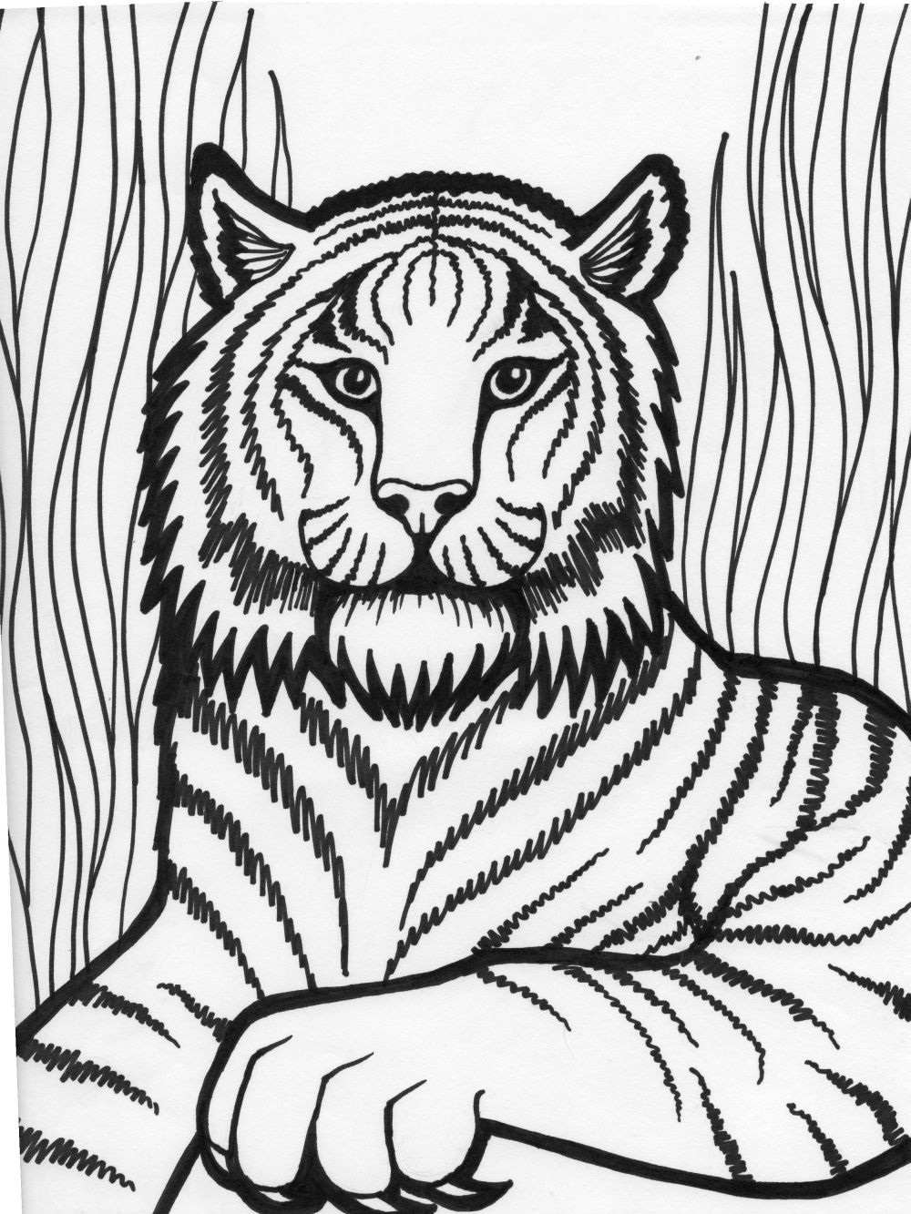 Tiger Coloring Pages Free Printable 132