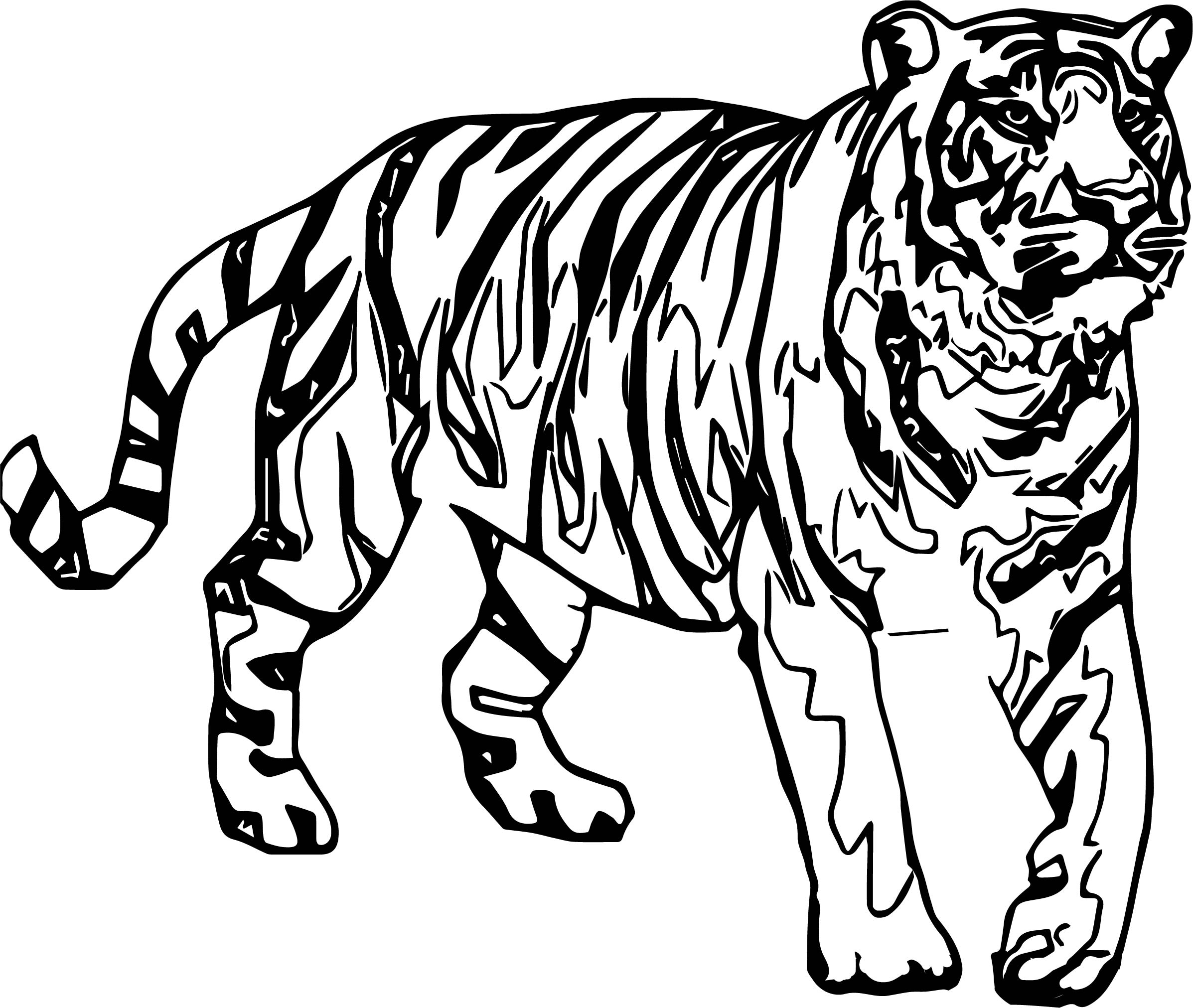 Tiger Coloring Pages Free Printable 134