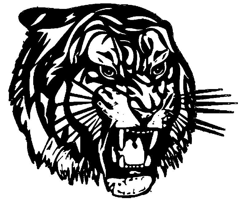 Tiger Coloring Pages Free Printable 144