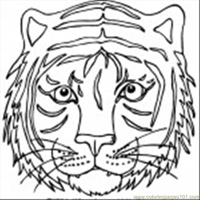 Tiger Coloring Pages Free Printable 149