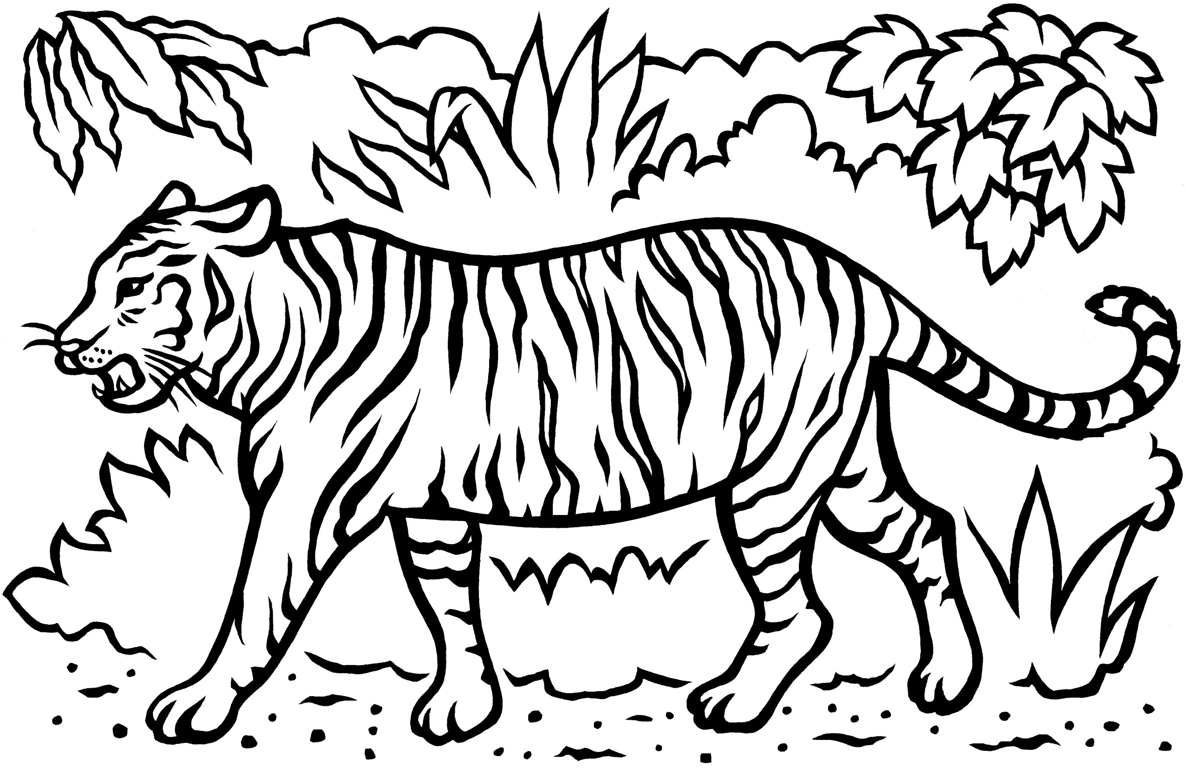 Tiger Coloring Pages Free Printable 19