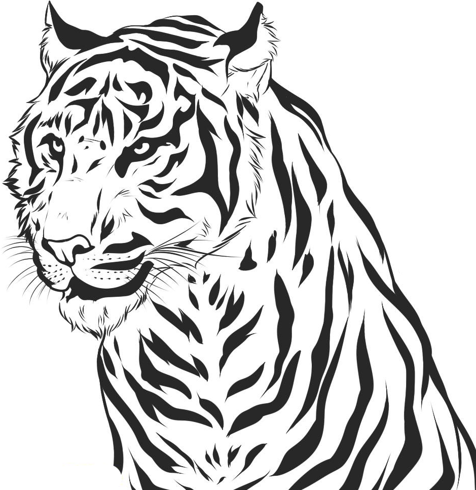 Tiger Coloring Pages Free Printable 2