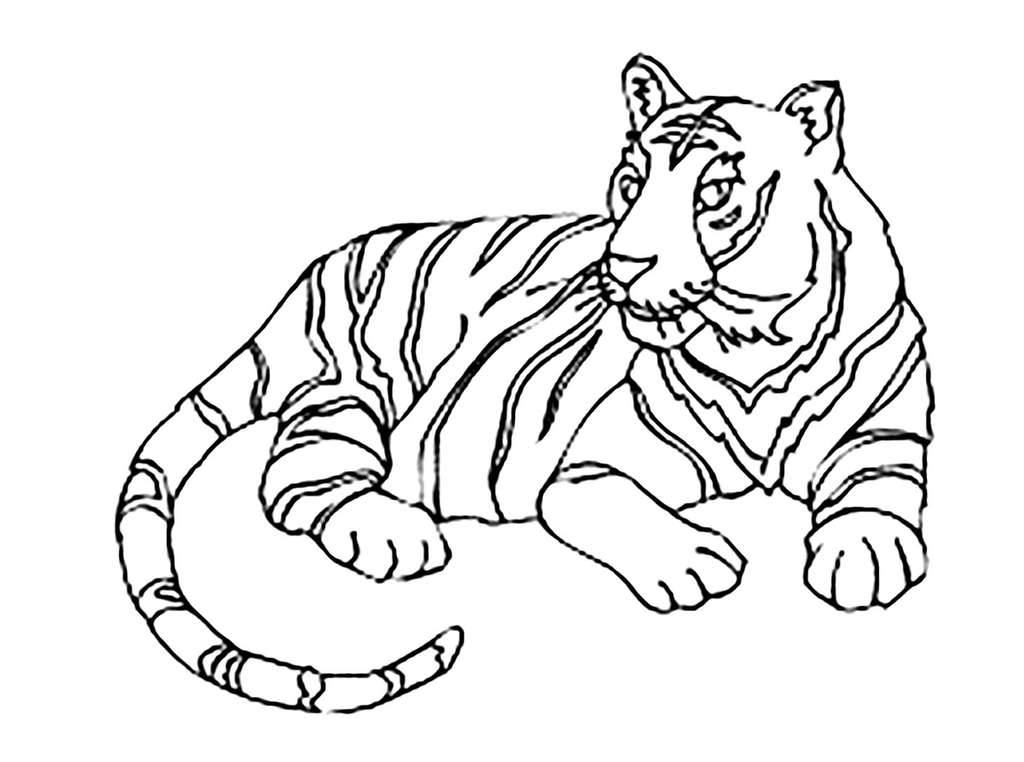 Tiger Coloring Pages Free Printable 20