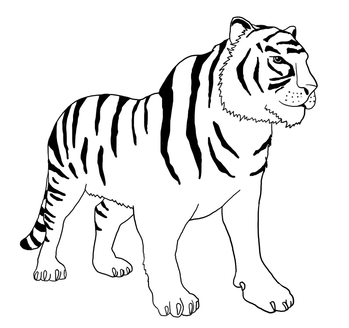 Tiger Coloring Pages Free Printable 21