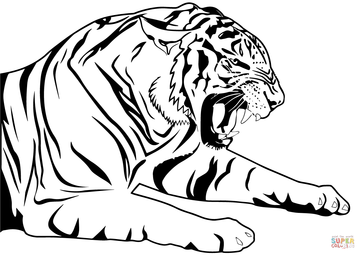 Tiger Coloring Pages Free Printable 26