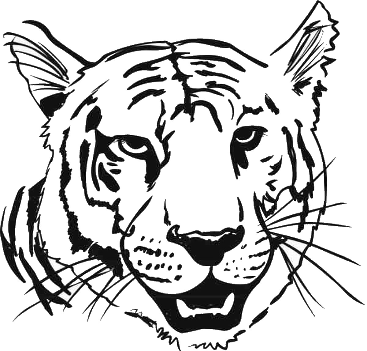 Tiger Coloring Pages Free Printable 31