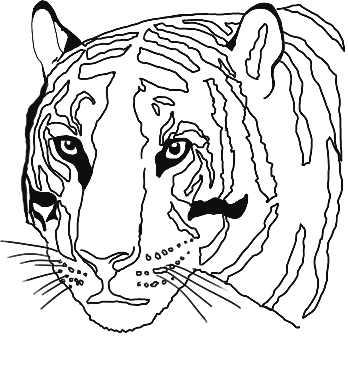 Tiger Coloring Pages Free Printable 32