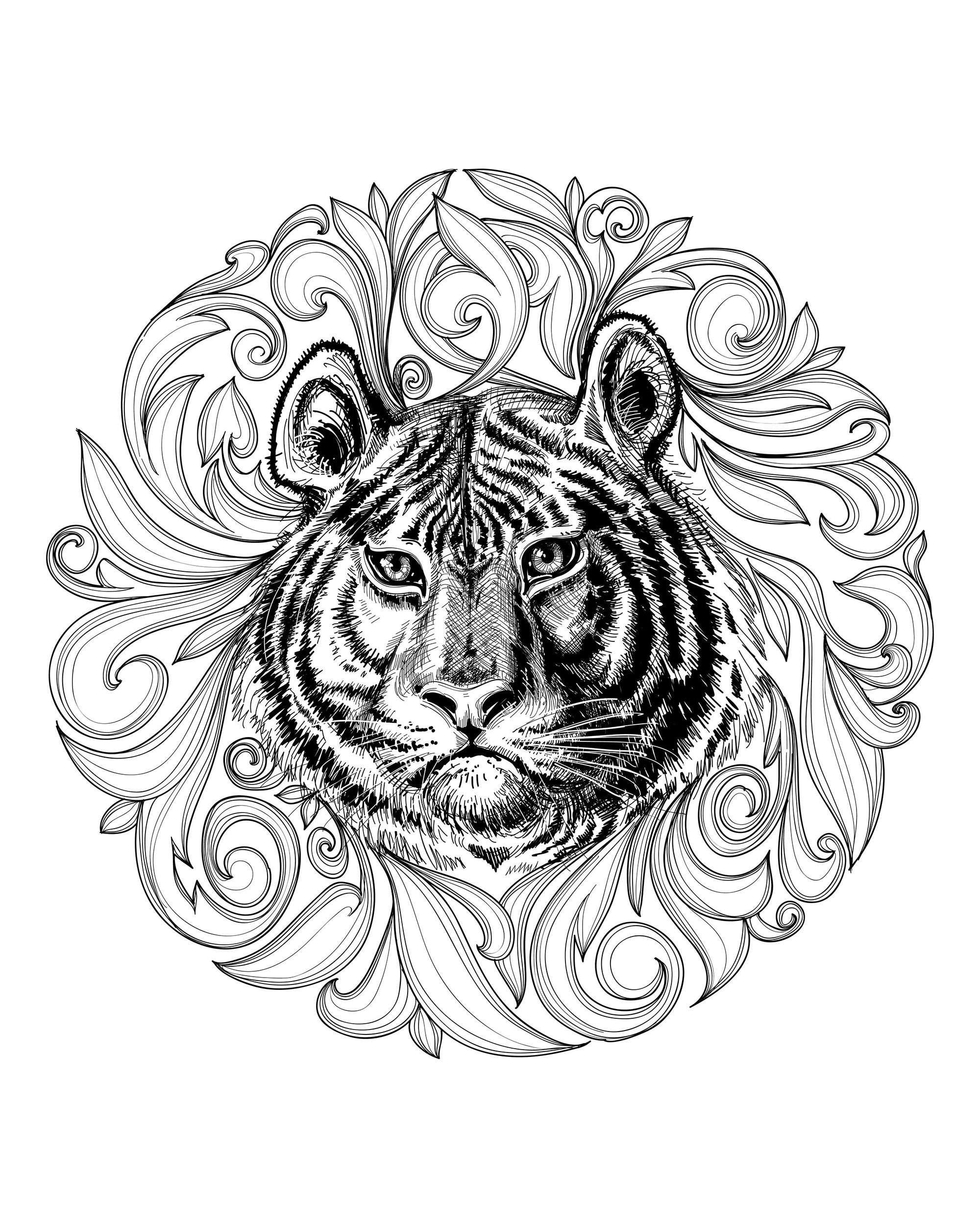 Tiger Coloring Pages Free Printable 38