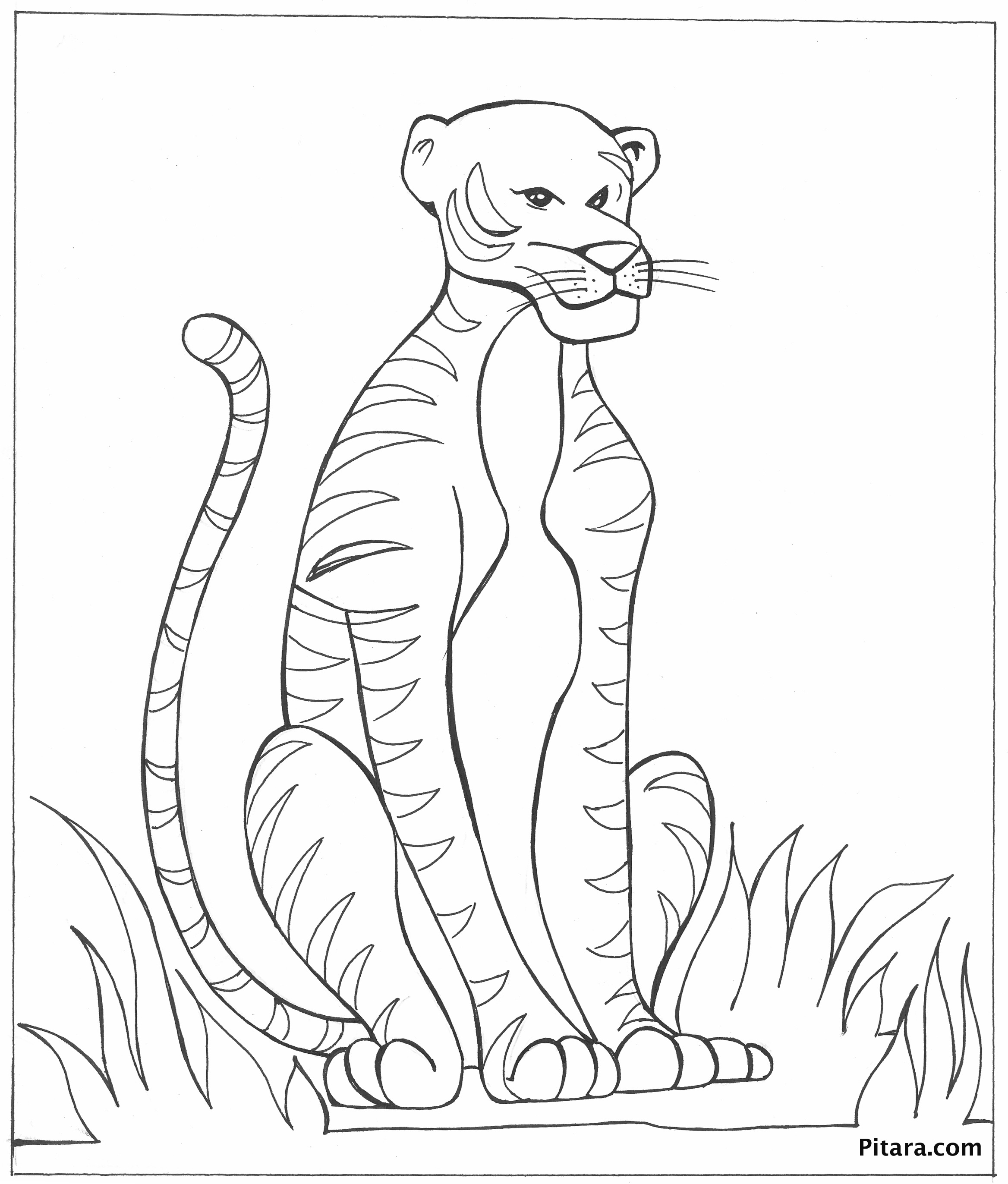 Tiger Coloring Pages Free Printable 41