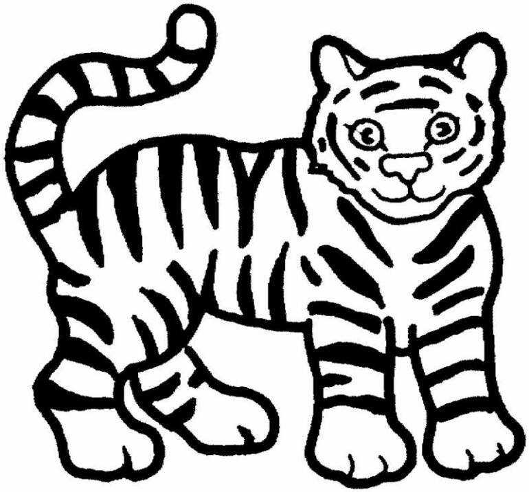 Tiger Coloring Pages Free Printable 51