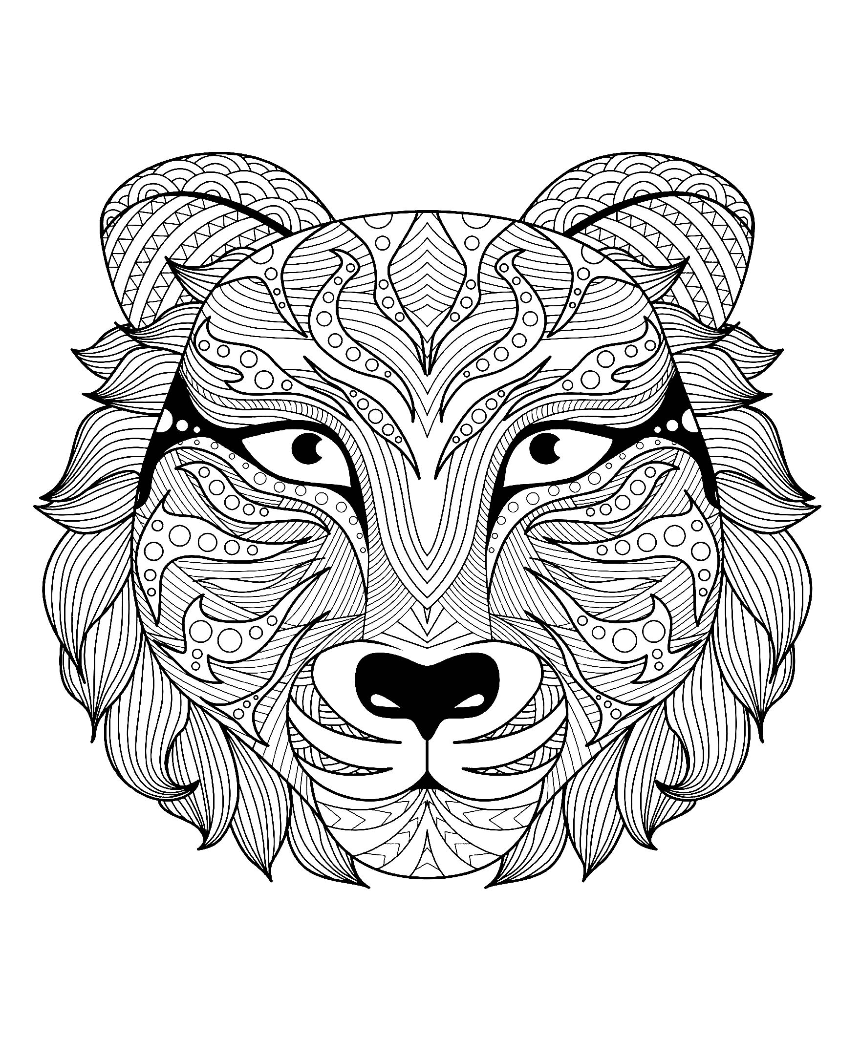 Tiger Coloring Pages Free Printable 52