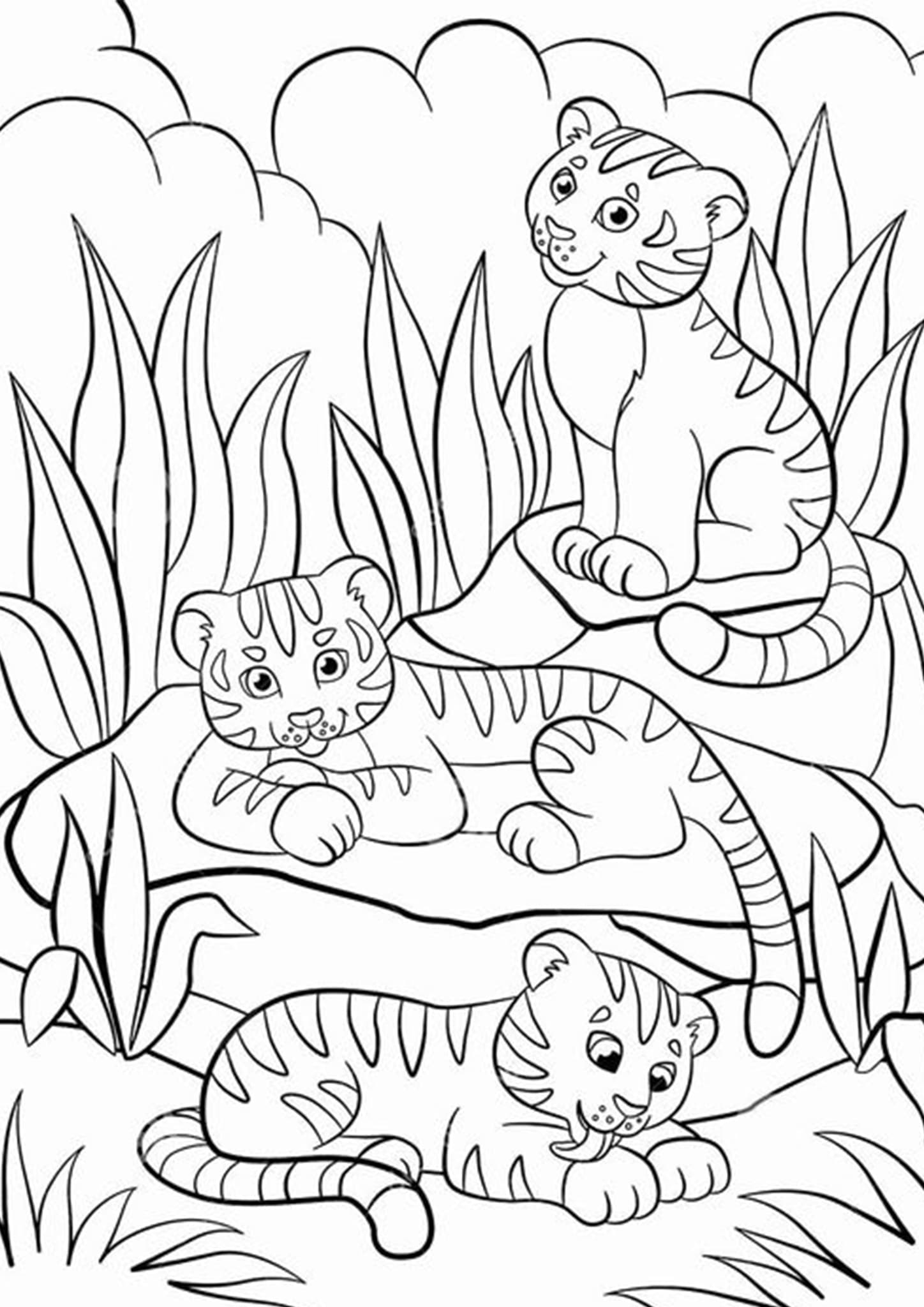 Tiger Coloring Pages Free Printable 54