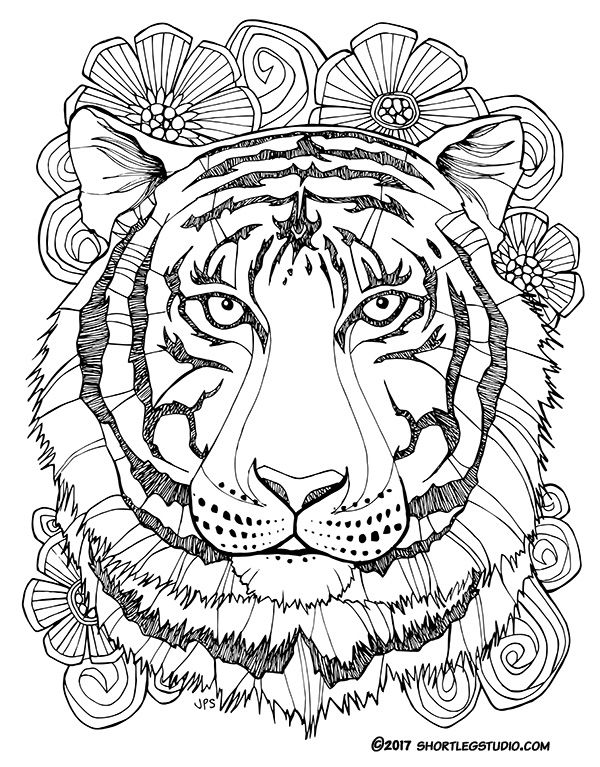 Tiger Coloring Pages Free Printable 59