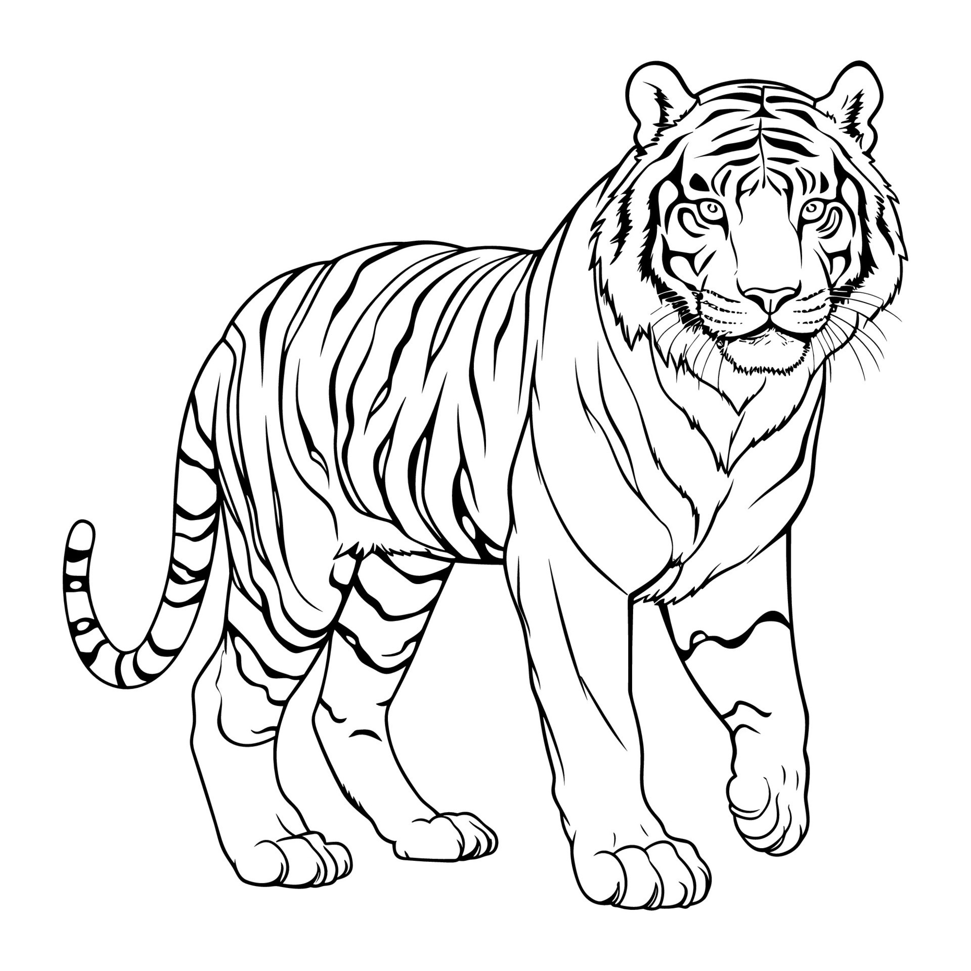 Tiger Coloring Pages Free Printable 63