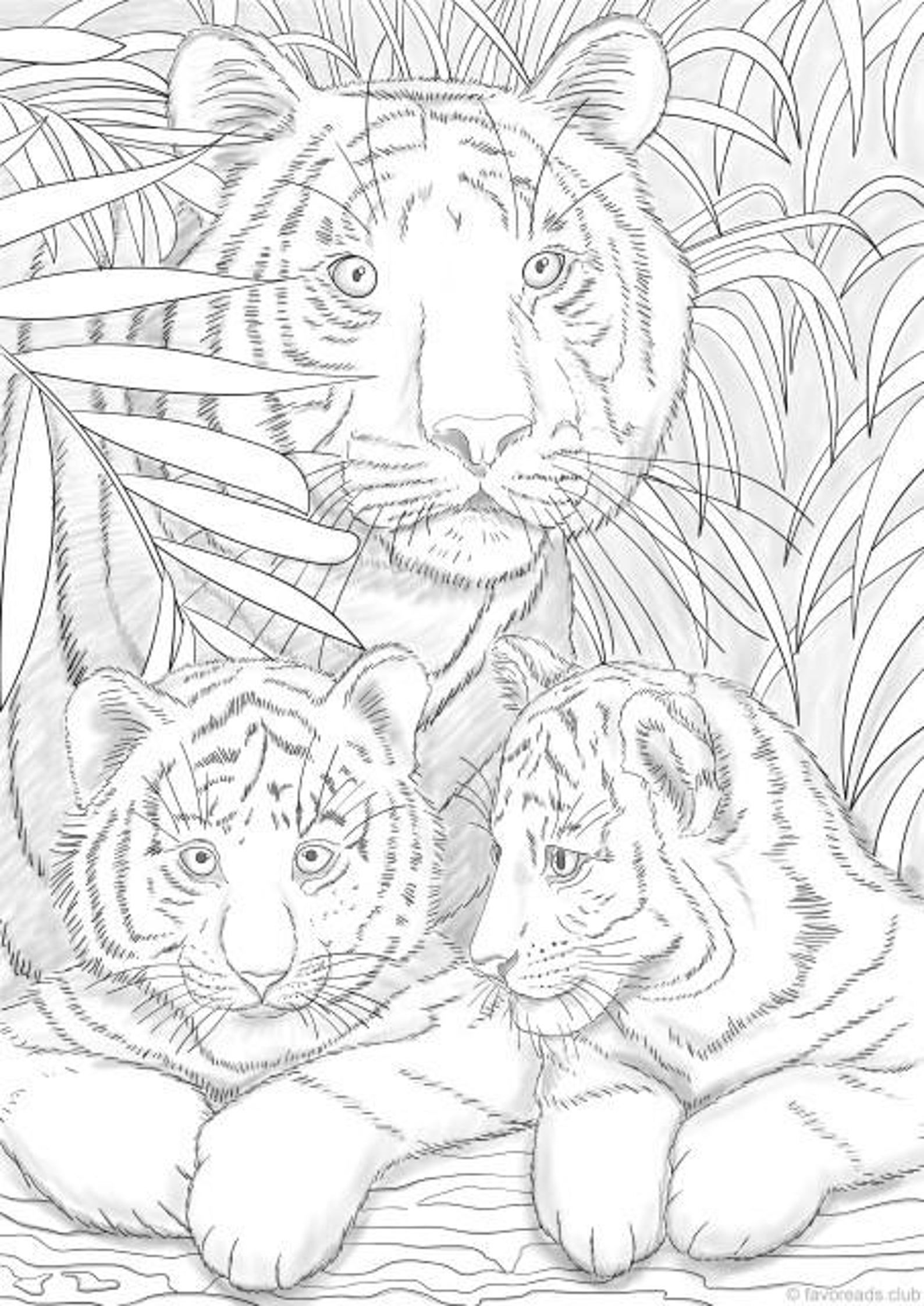 Tiger Coloring Pages Free Printable 65