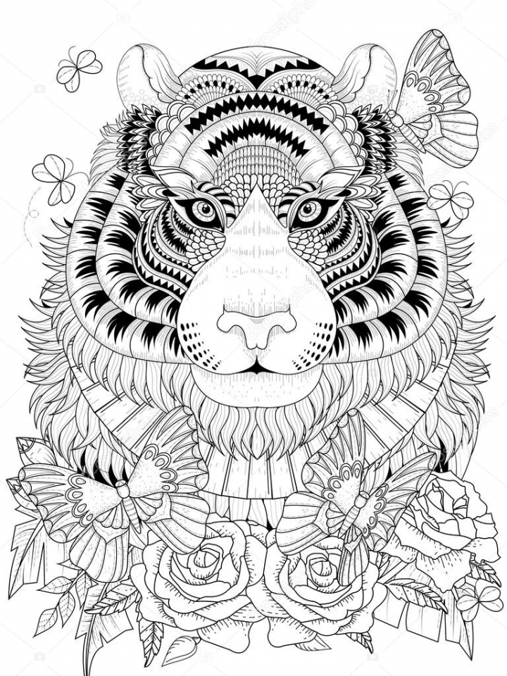 Tiger Coloring Pages Free Printable 70