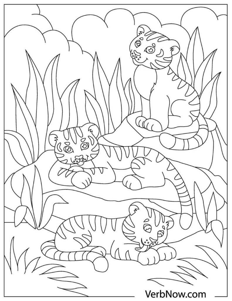 Tiger Coloring Pages Free Printable 74