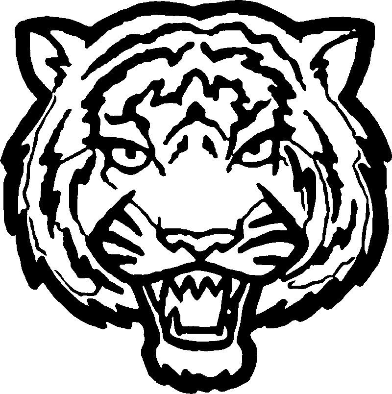 Tiger Coloring Pages Free Printable 77