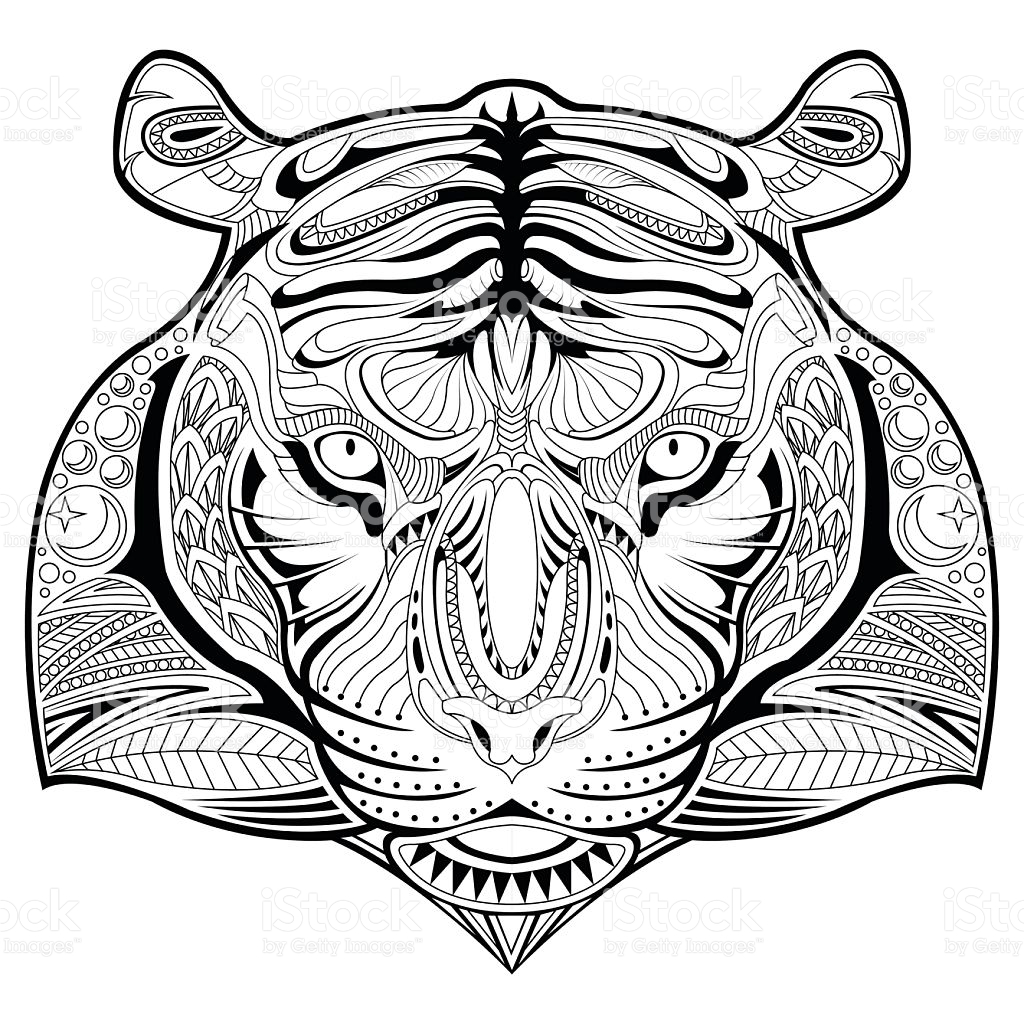 Tiger Coloring Pages Free Printable 81