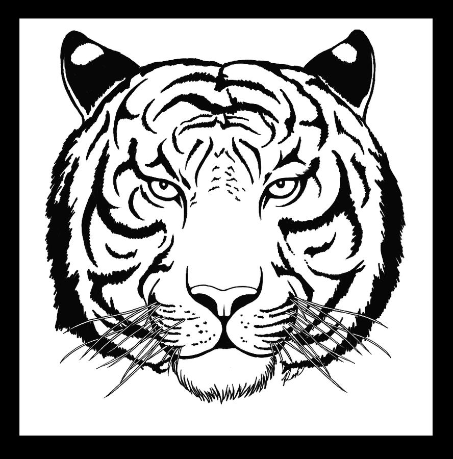 Tiger Coloring Pages Free Printable 82