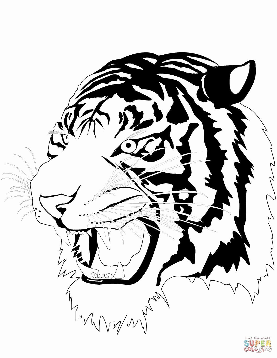 Tiger Coloring Pages Free Printable 84