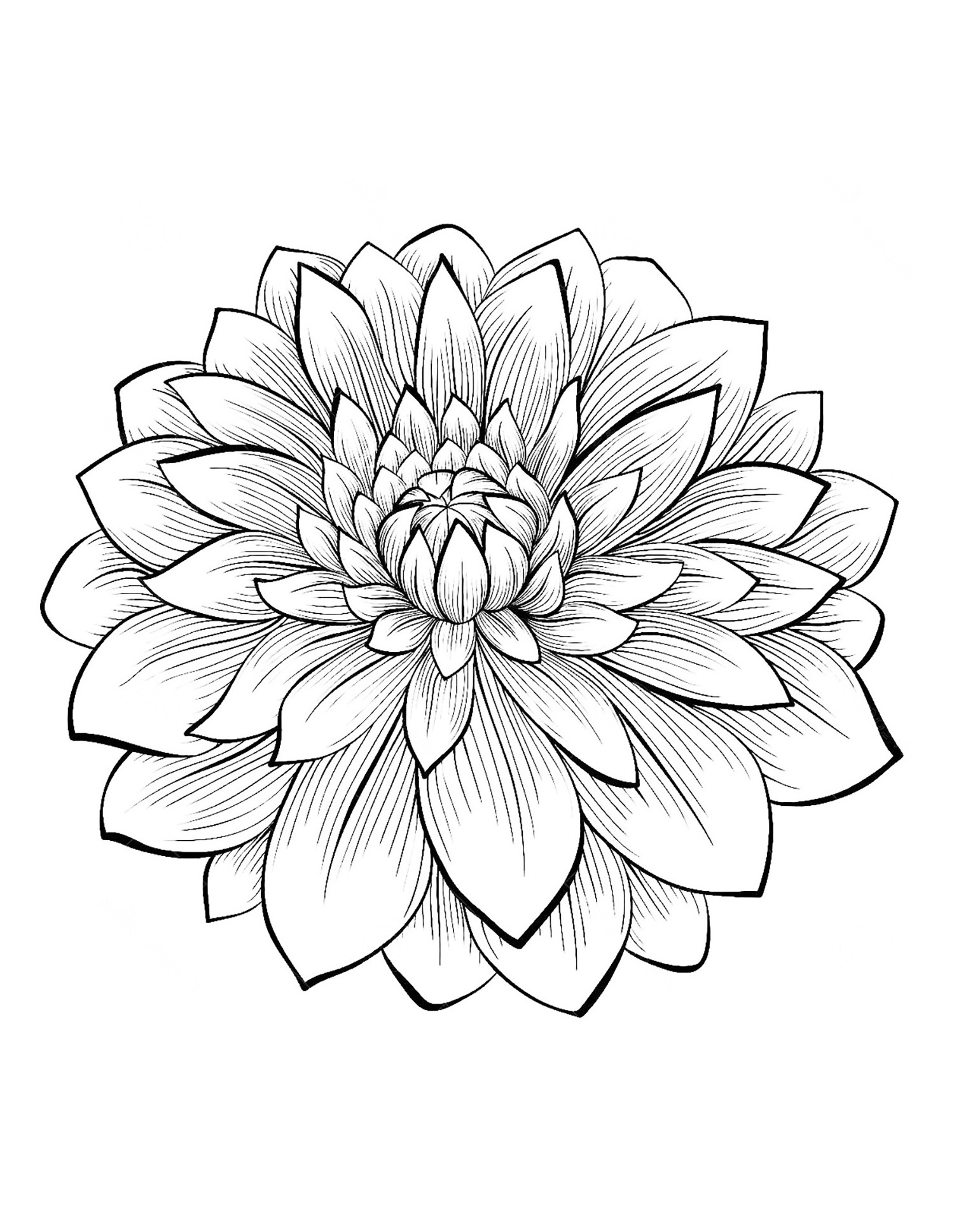 100+ Flower Coloring Pages for Adults 13