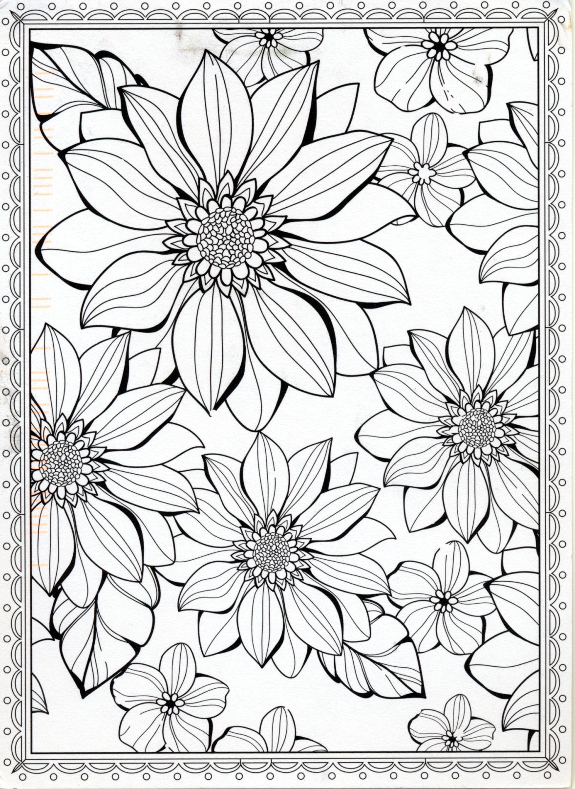 100+ Flower Coloring Pages for Adults 18