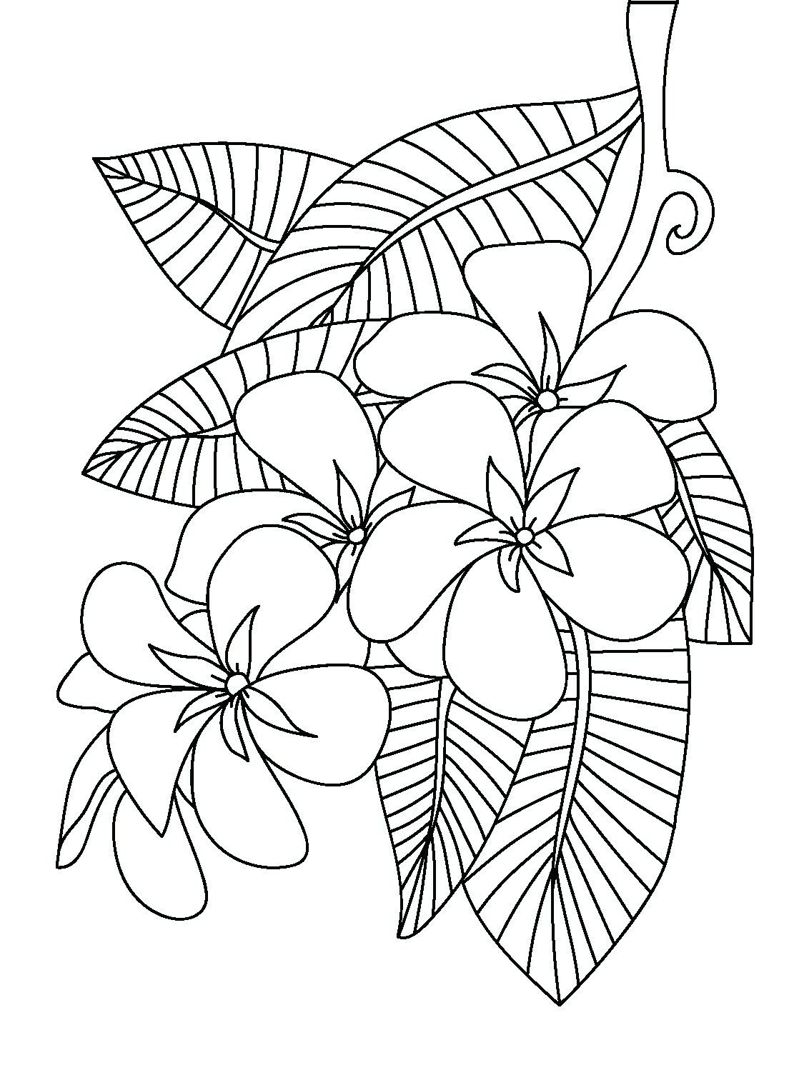 100+ Flower Coloring Pages for Adults 27