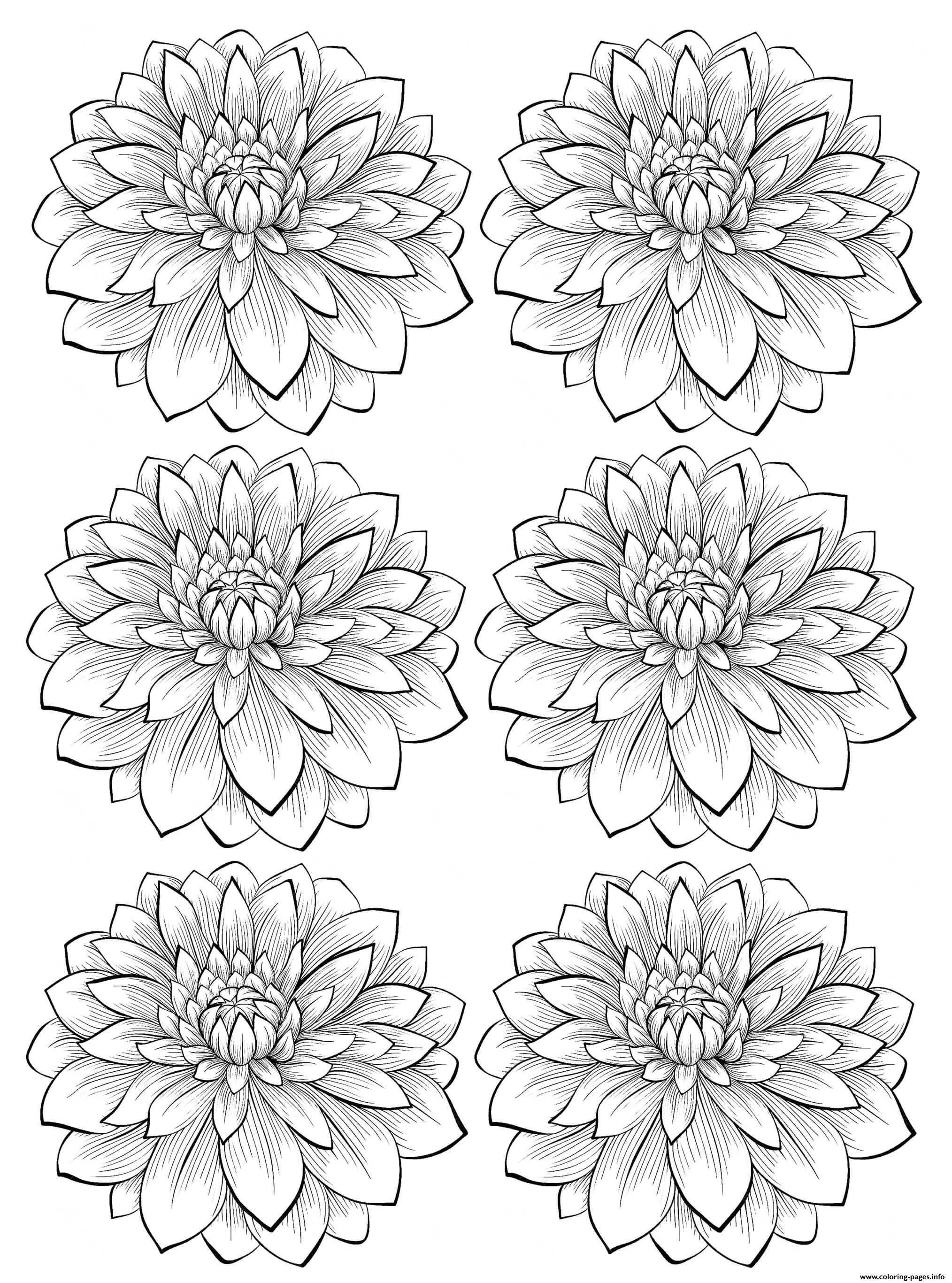 100+ Flower Coloring Pages for Adults 5