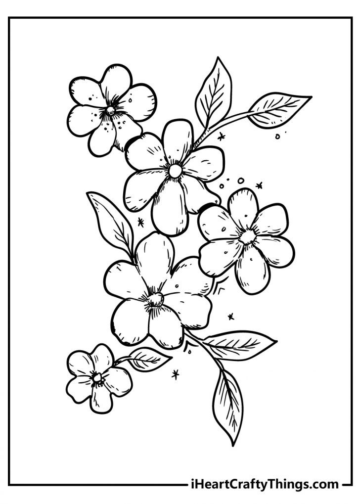 100+ Flower Coloring Pages for Adults 60