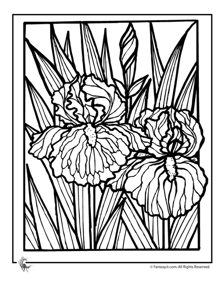 100+ Flower Coloring Pages for Adults 65