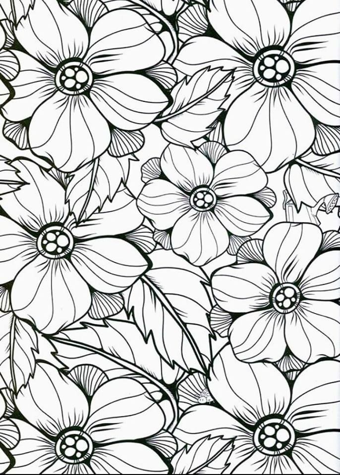 100+ Flower Coloring Pages for Adults 71