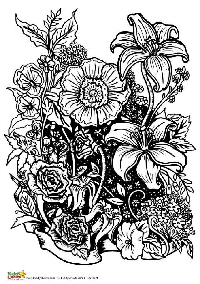 100+ Flower Coloring Pages for Adults 75