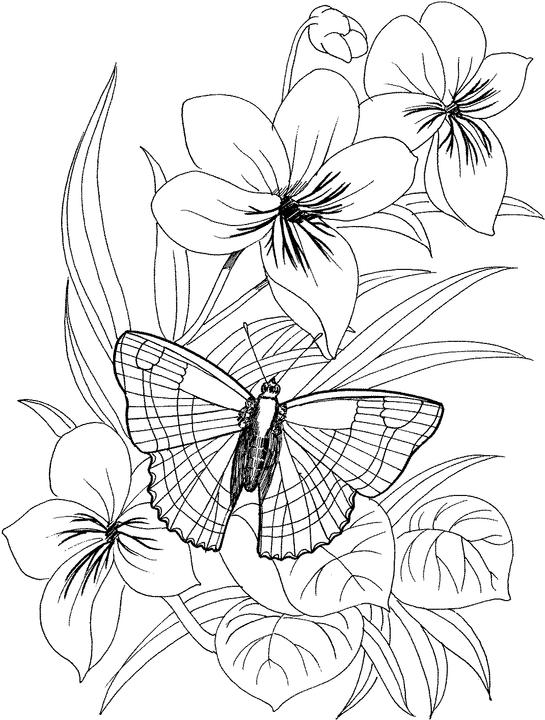 100+ Flower Coloring Pages for Adults 89