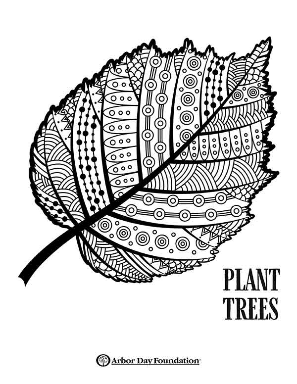 160 Tree Coloring Pages: Explore Nature's Palette 102