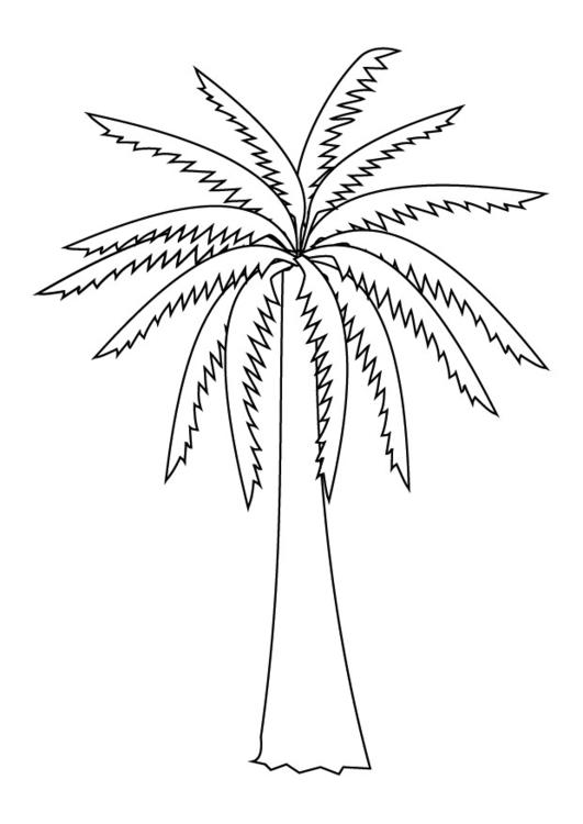 160 Tree Coloring Pages: Explore Nature's Palette 107