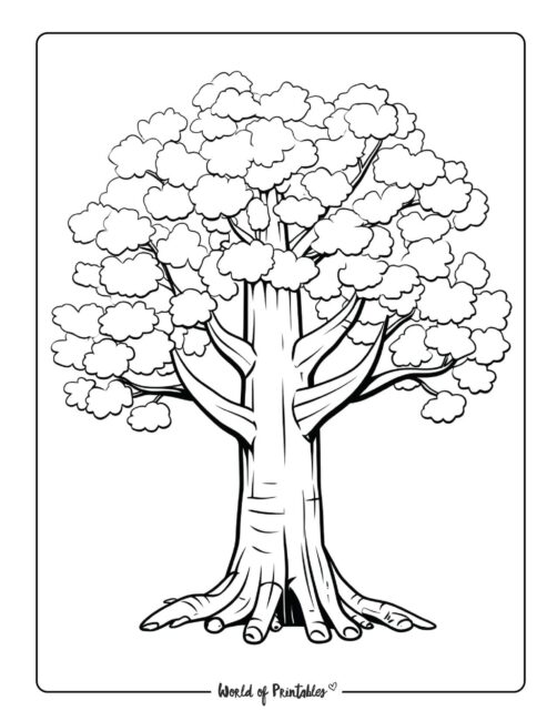 160 Tree Coloring Pages: Explore Nature's Palette 113