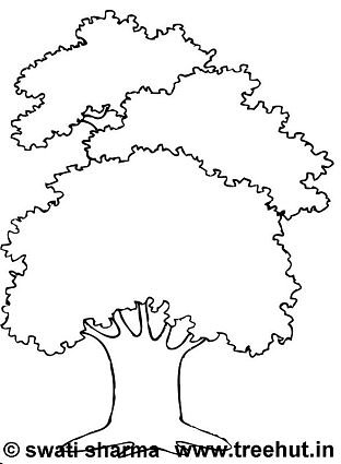 160 Tree Coloring Pages: Explore Nature's Palette 149