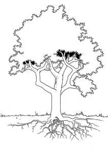 160 Tree Coloring Pages: Explore Nature's Palette 160