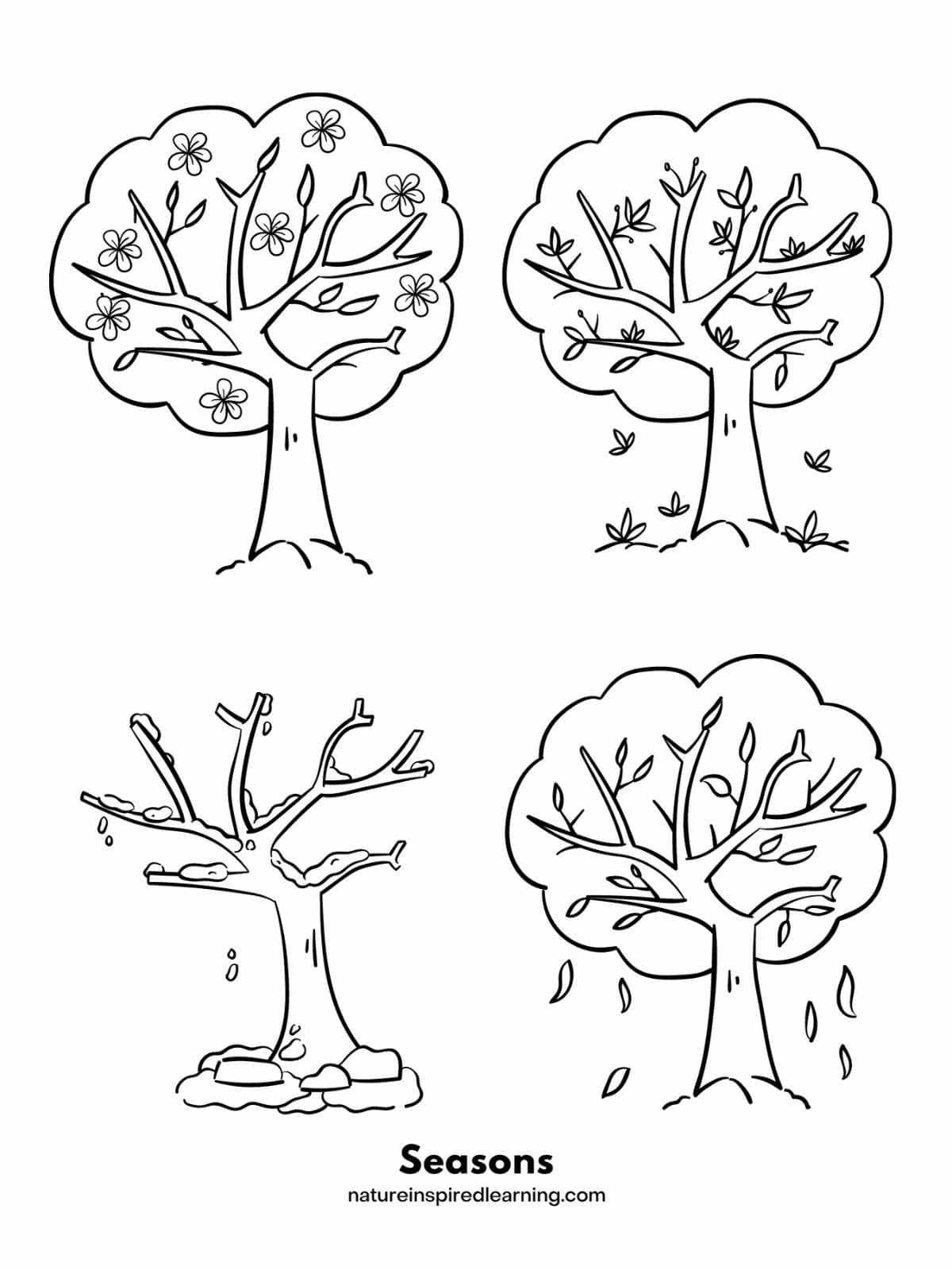 160 Tree Coloring Pages: Explore Nature's Palette 25