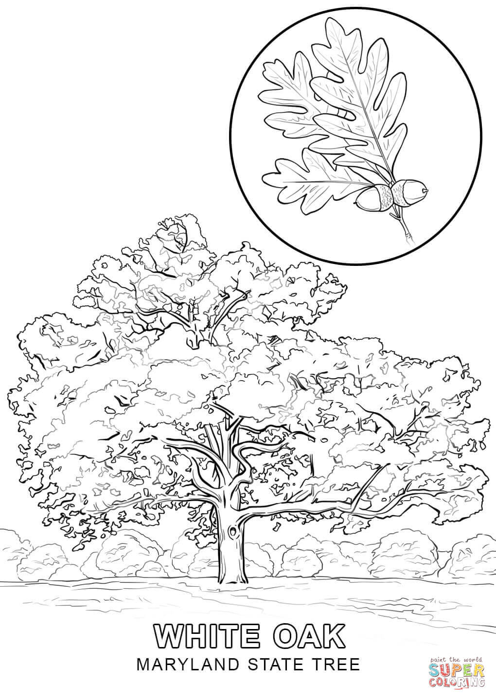 160 Tree Coloring Pages: Explore Nature's Palette 28